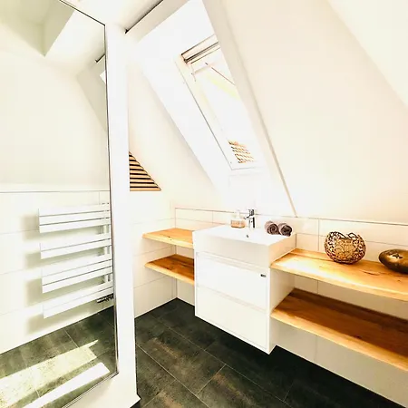 Dana Bodensee 腓特烈港