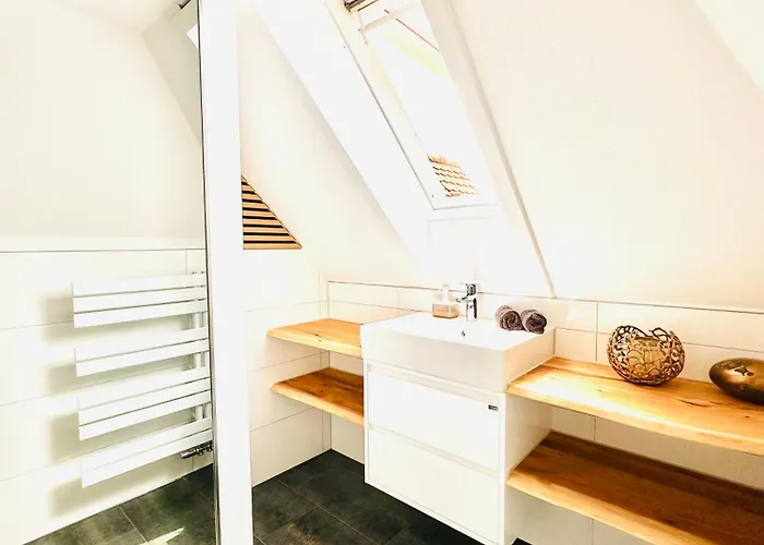 Dana Bodensee Friedrichshafen